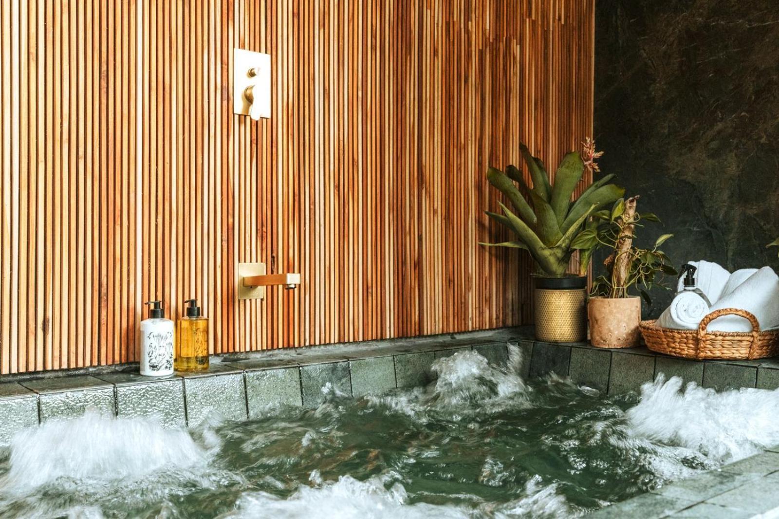 Selvario 36 Hotel Медельїн Екстер'єр фото